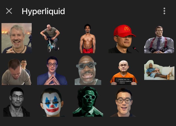 A grid of 13 humorous, AI-generated meme portraits featuring various quirky and absurd characters (including a shirtless man on a bike, a person in a McDonald's cap, someone holding a mugshot sign, and a Joker-like clown face) is displayed under the header "X Hyperliquid," seemingly submitted in response to a call for the funniest Hyperliquid memes for a new Telegram sticker pack at t.me/HYPEconomy.