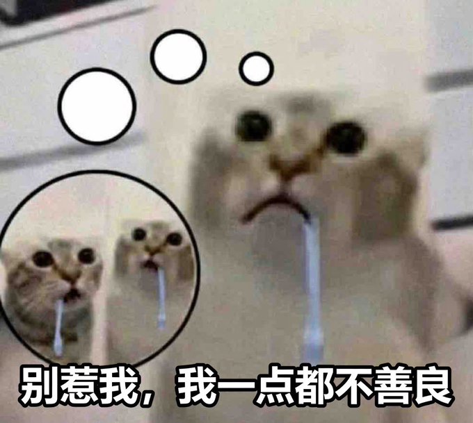 A crying cat meme with Chinese text reading '别惹我，我一点都不善良' (Don't mess with me, I'm not nice at all).