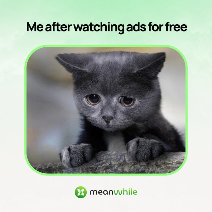 Meme image featuring a sad gray kitten with the caption 'Me after watching ads for free' and the 'meanwhile' app logo at the bottom.