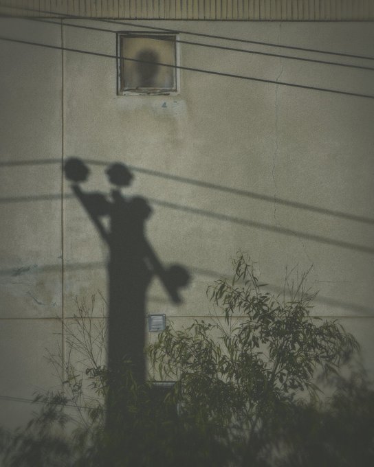 The shadow of a basketball player mid-dunk cast against a beige building wall, with power lines crossing the shadow and plants in the foreground.