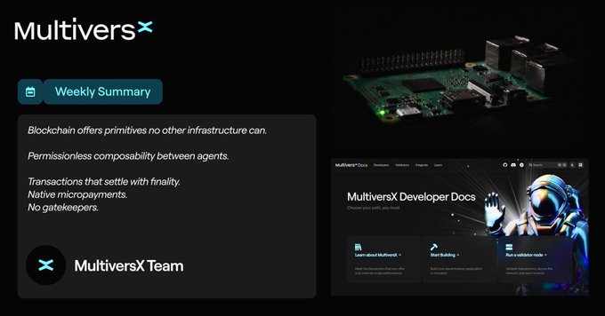 MultiversX Weekly Summary slide explaining blockchain primitives like permissionless composability, transactions with finality, native micropayments, and no gatekeepers, with the MultiversX Developer Docs displayed.