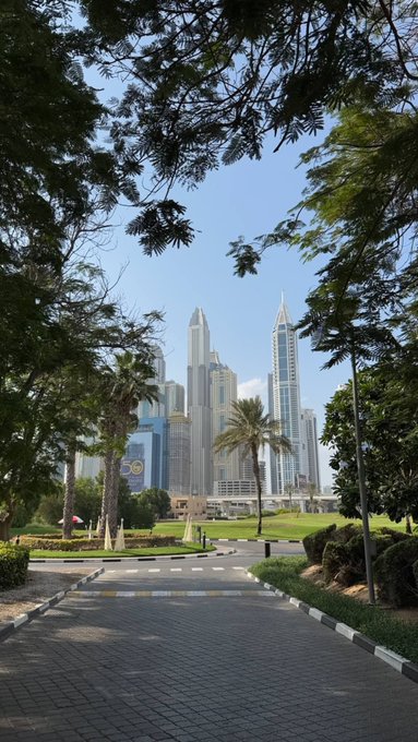 A paved pathway lined with trees leading toward the Dubai Marina skyline, featuring tall skyscrapers and palm trees on a sunny day.