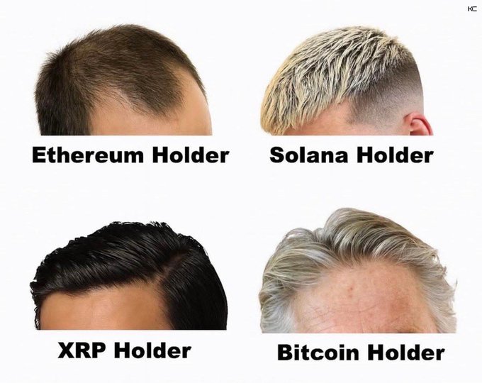 A meme showing four men's hairlines labeled by crypto holder type: 'Ethereum Holder' (thinning hairline), 'Solana Holder' (blonde fade), 'XRP Holder' (thick slicked-back black hair), and 'Bitcoin Holder' (gray hair with balding crown), suggesting XRP holders 'have it best.'