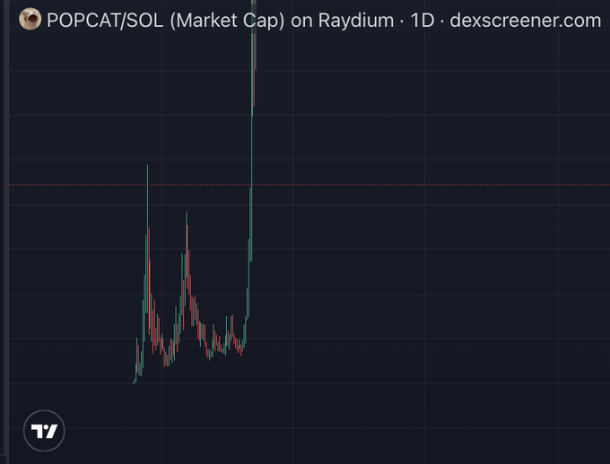 A daily chart of POPCAT/SOL market cap on Raydium shows a 90% drawdown followed by a sharp vertical rally, visually illustrating the post's point that POPCAT suffered massive corrections before its run-up to multi-billion dollar valuations, similar to the patterns seen in $WIF and $BONK.