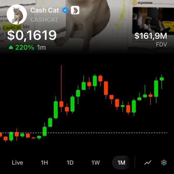 A screenshot of a cryptocurrency trading chart for "Cash Cat ($CASHCAT)" showing a price of $0.1619, a 220% increase over 1 month, and a FDV of $161.9M.