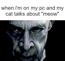 A meme featuring a stern-looking face with text at the top reading "when i'm on my pc and my cat talks about 'meow'", humorously relating to the post's idea of staying alert on the computer waiting for the right moment to buy $sonic during its first dip.
