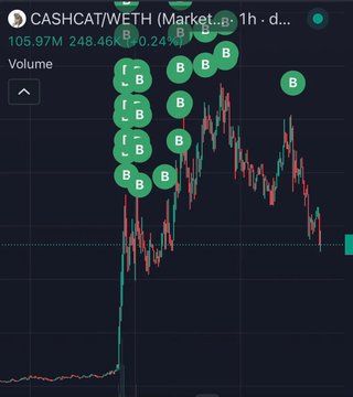 A cryptocurrency trading chart for CASHCAT/WETH showing a dramatic price spike with multiple green 'B' (buy) markers clustered at the peak, indicating a pump pattern.