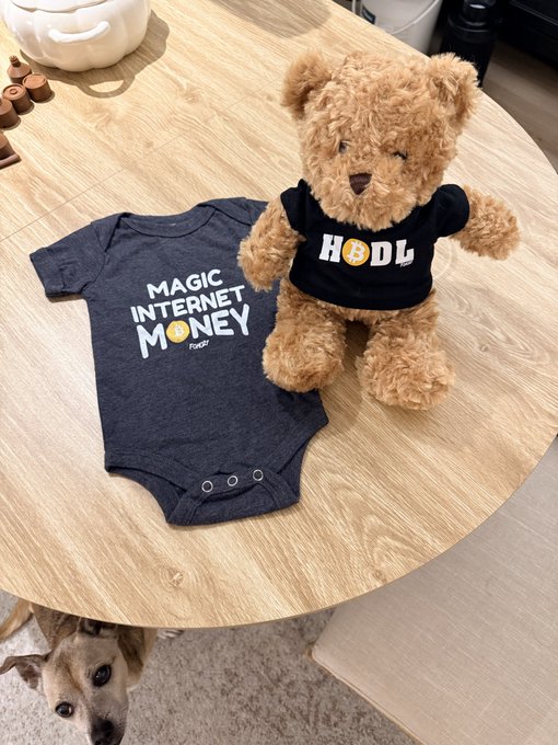 A teddy bear wearing a shirt that says "HODL" sits next to a "MAGIC INTERNET MONEY" onesie on a wooden table, with a small dog looking up from below.