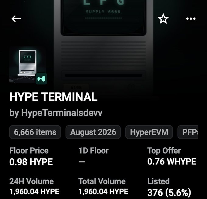 A mobile app screen displaying NFT collection details for 'HYPE TERMINAL' by HypeTerminalsdevv, with 6,666 items, a floor price of 0.98 HYPE, 24H volume of 1,960.04 HYPE, and 376 listed (5.6%).