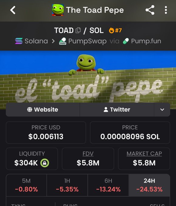 A mobile screenshot of a crypto tracking app showing the 'TOAD' token on the Solana network via PumpSwap, displaying a price of $0.006113 and significant 24-hour losses down -24.53%.
