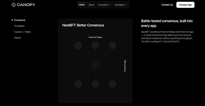 The Canopy website displays their 'NestBFT: Better Consensus' feature, explaining how it combines Proof-of-Stake with Proof-of-Age for battle-tested consensus built into every app.