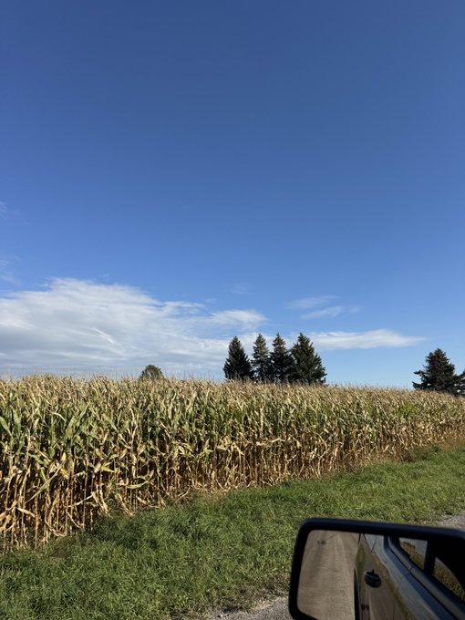 A view from the passenger seat of a truck driving past a cornfield under a bright, clear blue sky, kicking off a fresh new week of harvest-season travel. The side mirror reflects the rural road behind, emphasizing the open, peaceful countryside setting.