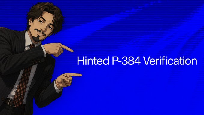 A graphic showing an illustrated man in a suit pointing at the text 'Hinted P-384 Verification' on a blue background.