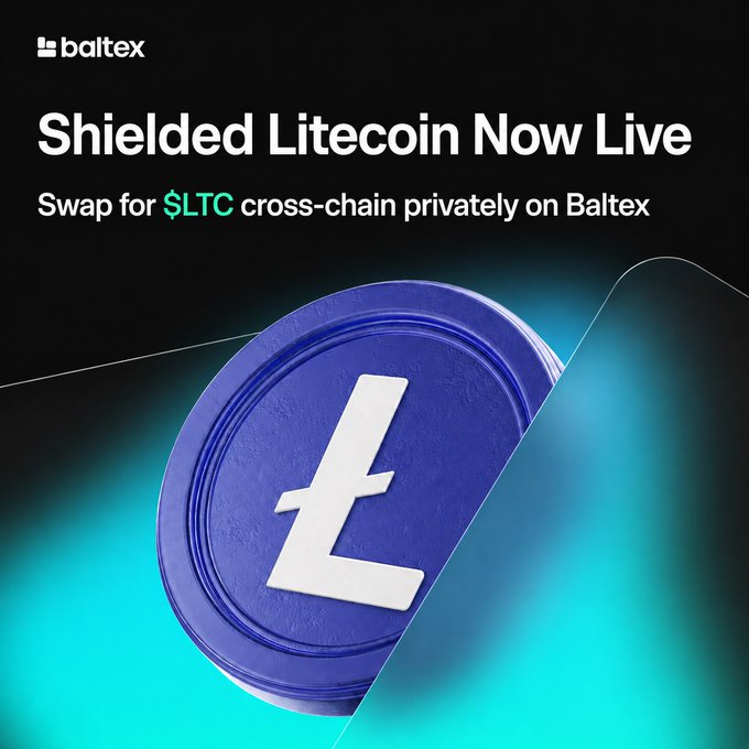 The image is a promotional announcement from Baltex titled "Shielded Litecoin Now Live," featuring a blue Litecoin ($LTC) coin graphic and the tagline "Swap for $LTC cross-chain privately on Baltex"—offering private cross-chain cryptocurrency swaps, likely explaining the "Wut dis?" reaction with a privacy-focused crypto exchange feature.