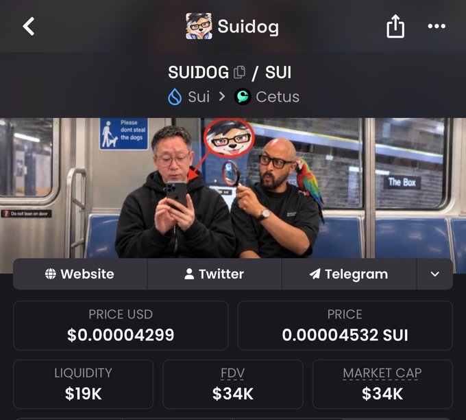 A mobile screenshot of the Suidog token page showing the SUIDOG/SUI trading pair on Cetus DEX with a price of $0.00004299, market cap and FDV of $34K, liquidity of $19K, and a meme image of people on a subway with 'Please don't steal the dogs' sign.