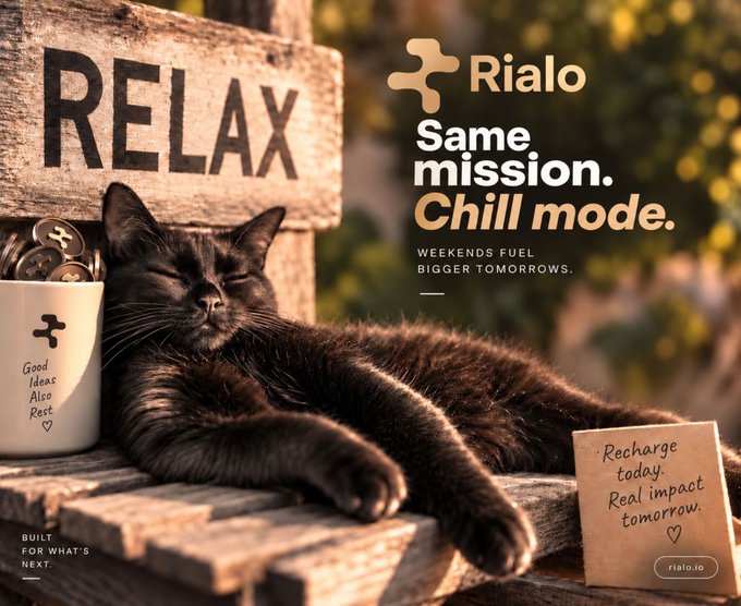 An advertisement for "Rialo" with the tagline "Same mission. Chill mode." shows a sleeping black cat on a wooden surface next to a "RELAX" sign, a coffee mug, and a note reading "Recharge today. Real impact tomorrow."