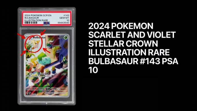 The image displays a PSA 10 graded 2024 Pokémon Scarlet and Violet Stellar Crown Illustration Rare Bulbasaur card (#143), with red arrows highlighting a mischievous-looking bird perched on the sleeping Bulbasaur—directly illustrating the post's caption about a "stupid evil bird" attacking a snoozing Bulbasaur.