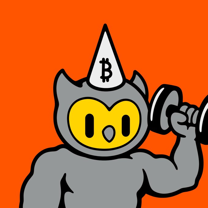 A cartoon illustration of a muscular gray owl mascot wearing a cone hat with a Bitcoin '₿' symbol, lifting a dumbbell against an orange background.