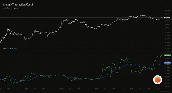 A financial chart titled "Average Transaction Count" displaying Bitcoin price and transaction metrics over time, with values around 50,318 on the price axis and transaction counts on the lower scale, marked with a Bitcoin tera.org logo.