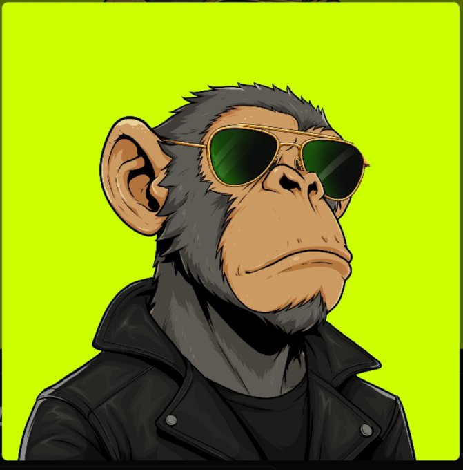 A digital illustration of a monkey wearing green aviator sunglasses and a black leather jacket against a bright green background.