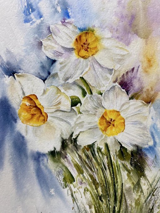 A watercolor painting of three white daffodils with yellow centers.
