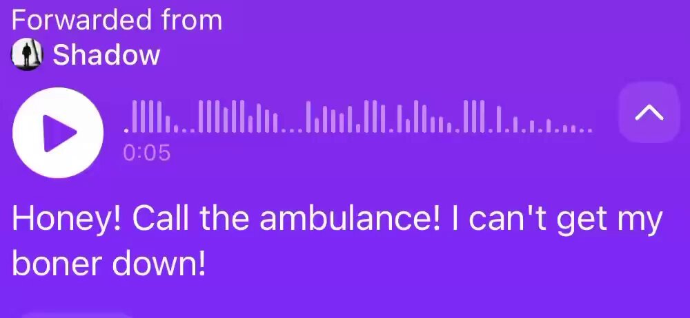 The image shows a purple background with white text that reads "Forwarded from Shadow". Below the text, there are two lines of purple text that say "Honey! Call the ambulance! I can't get my boner down!" The image also contains an audio clip or a voice message in the bottom right corner.