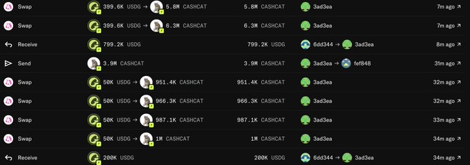 A cryptocurrency transaction history screen showing multiple USDG to CASHCAT swaps with an account named '3ad3ea'.