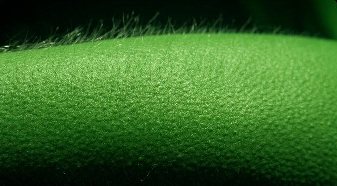 Close-up macro photograph of vibrant green moss or a similar fuzzy, grass-like plant surface with fine hair-like filaments visible against a dark background.