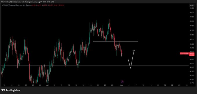 A TradingView chart of the LTC/USDT perpetual contract on Bybit, with the 4-hour price currently around $44.18 (showing a -1.09% decline). A hand-drawn arrow illustrates the expected move down toward the $43.30 support level mentioned in the update.