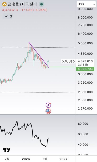 A TradingView-style chart for Gold (금 현물) in USD showing a price of 4,373.613, down 0.39%, with a bearish descending channel pattern drawn and a key support level marked at 4,042.793.