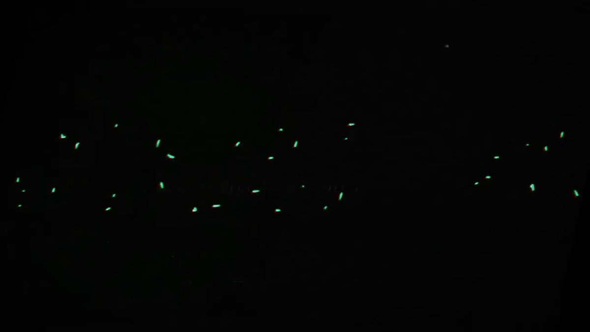 The image shows a group of green lights scattered across a dark background, creating an interesting visual effect. The lights are positioned at various points within the frame, with some closer to the top left corner while others are more towards the bottom right side. This captivating display of glowing lights can be compared to the process of building an app ecosystem or network, as it requires careful planning and execution to create a cohesive and functional system that meets the needs of users.