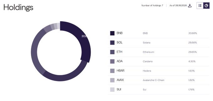 The image shows a "Holdings" donut chart with 7 crypto assets as of 08/18/2026, led by BNB at 30.66%, closely followed by SOL (29.88%) and ETH (29.65%), with smaller positions in ADA (4.30%), HBAR (1.93%), AVAX (1.82%), and SUI (1.76%)—illustrating BNB's top position in the fund following the rebalancing mentioned in the post.