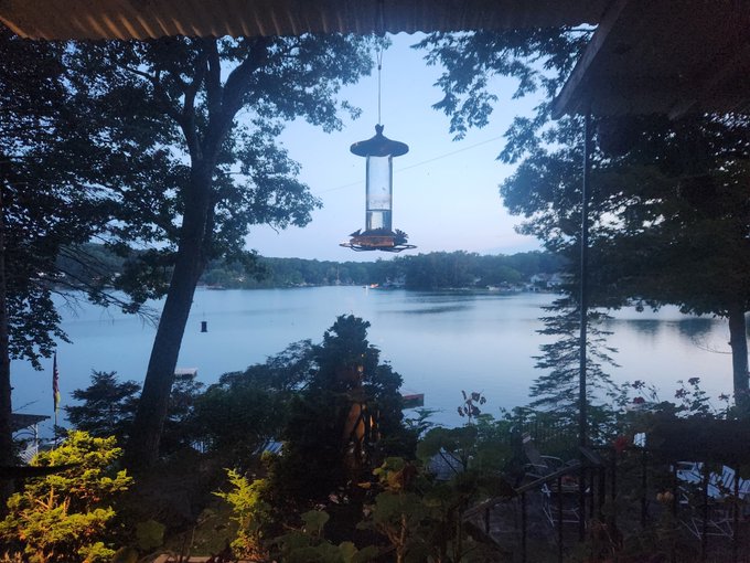 A serene view of a lake at dusk is framed by silhouetted trees, with a bird feeder hanging in the foreground and an American flag visible in the distance.
