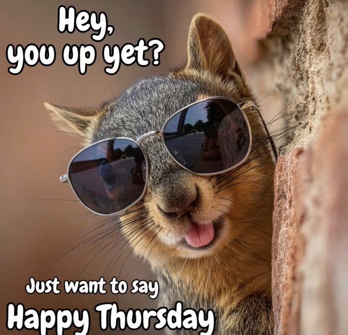 A meme featuring a close-up of a squirrel wearing aviator sunglasses, with text reading 'Hey, you up yet?' at the top and 'Just want to say Happy Thursday' at the bottom.