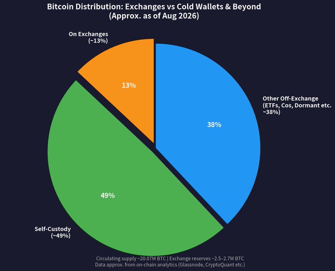 A pie chart titled "Bitcoin Distribution: Exchanges vs Cold Wallets & Beyond (Approx. as of Aug 2026)" shows that approximately 49% of BTC is in self-custody (cold wallets), 38% is held in other off-exchange venues (ETFs, companies, governments, dormant coins), and 13% remains on exchanges, based on a circulating supply of ~20.07M BTC.