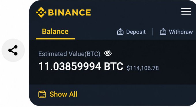 A Binance cryptocurrency exchange balance screen displays an estimated value of 11.03859994 BTC ($114,106.78) with Deposit and Withdraw options.