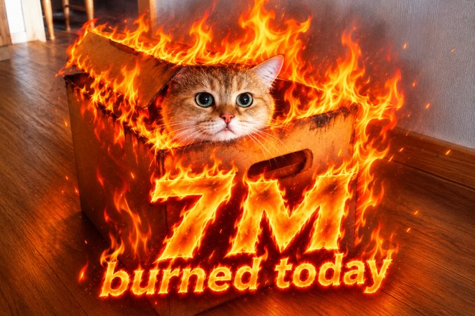 A meme image showing a tabby cat sitting inside a cardboard box that is engulfed in flames, with glowing fiery text reading '7M burned today'.