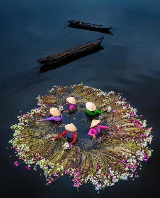 Five women wearing traditional Vietnamese conical hats arrange flowers and water plants in a circular pattern on the water, with two wooden boats floating nearby.