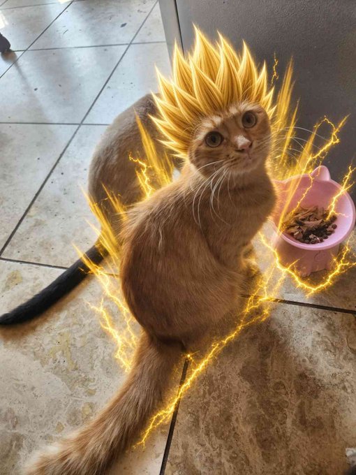 An orange tabby cat sitting by a pink food bowl, digitally edited with glowing yellow Super Saiyan-style hair and lightning effects to resemble a power-up anime transformation.
