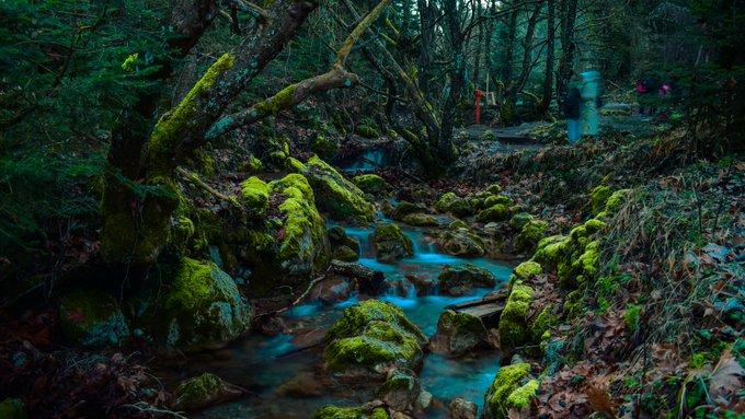 A serene forest stream flows through moss-covered rocks and trees, captured with a smooth, long-exposure effect on the water.