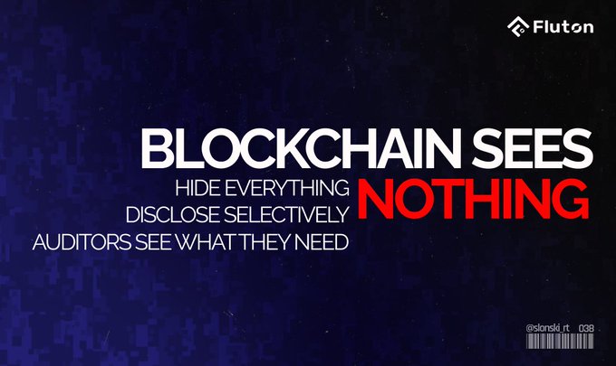 A Fluton blockchain promotional graphic with the text 'BLOCKCHAIN SEES HIDE EVERYTHING DISCLOSE SELECTIVELY AUDITORS SEE WHAT THEY NEED NOTHING' on a dark blue pixelated background.