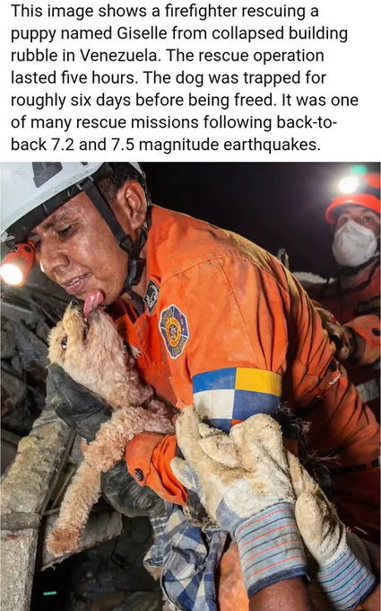 A firefighter in an orange uniform holding and licking a small puppy rescued from rubble, with text describing a rescue mission in Venezuela following earthquakes.