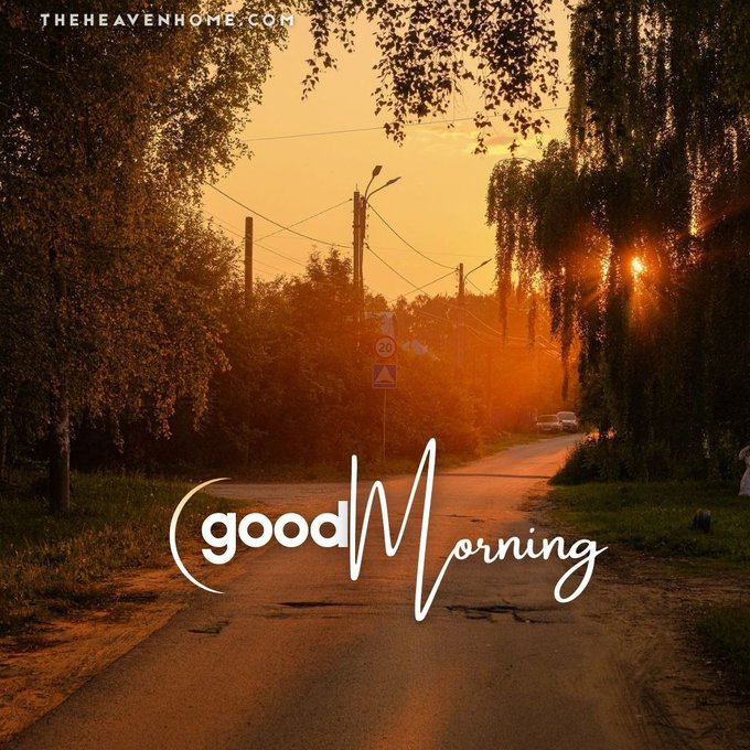 A golden sunrise illuminates a tree-lined road with the text "good morning" in stylized white script and "THEHEAVENHOME.COM" watermark in the corner.