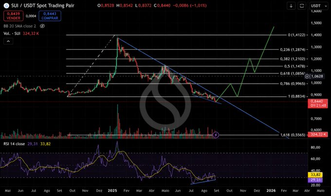 The image shows a trading chart displaying a downward trend for Sui currency against other currencies. Despite the current downslide, there seems to be a silver lining as Sui has shown some signs of recovery with its price moving above $1 recently. This suggests that investors should continue to watch and monitor the progress of this currency's trajectory over time before deciding on their next steps in the market.