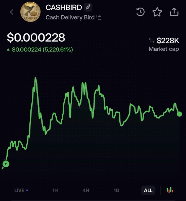 A cryptocurrency trading chart displays CASHBIRD (Cash Delivery Bird) at $0.0000228 with a 5,229.61% gain shown in green, alongside a market cap of $228K, illustrating the significant price growth referenced in the post celebrating holder count increases and subscription gains.