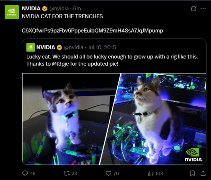 A screenshot of a tweet from NVIDIA's official account (@nvidia) captioned "NVIDIA CAT FOR THE TRENCHES" promoting a Solana memecoin address, featuring an older 2015 NVIDIA post about a kitten on a gaming rig. This relates to the alleged hack that saw NVIDIA's account compromised to shill a memecoin, mirroring the recent hack of Pokémon UK's social media promoting a similar scam coin.
