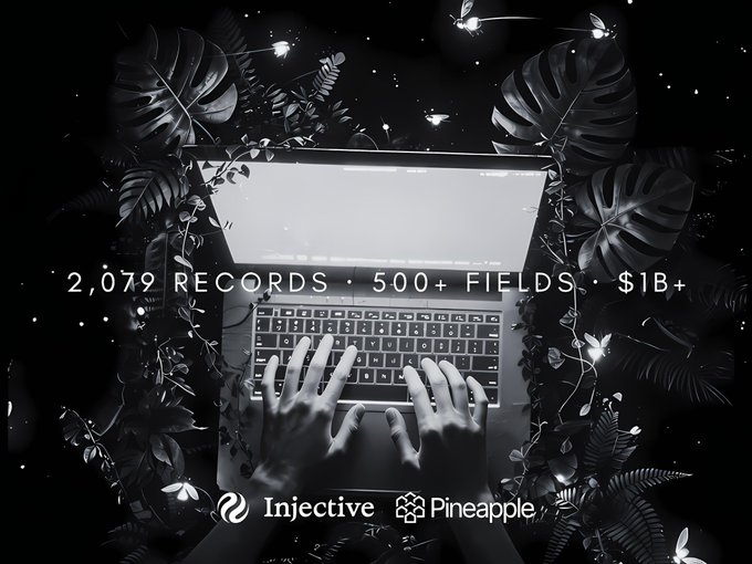 A moody black-and-white image of hands typing on a laptop keyboard surrounded by tropical leaves and glowing butterflies, with overlaid text reading "2,079 RECORDS • 500+ FIELDS • $1B+" and logos for "Injective" and "Pineapple."