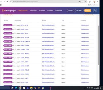 A screenshot of the Blok-plagin Pi browser extension displaying a transaction history list, showing multiple transfers of 3.2 Pi from various addresses (like GRTY, DZRS, HTVY, ZDJK) to the user's main wallet address GAGHABdpb9dX1eST... (truncated for privacy). The image illustrates the user's observation about numerous small Pi transfers appearing in their Pi network wallet.