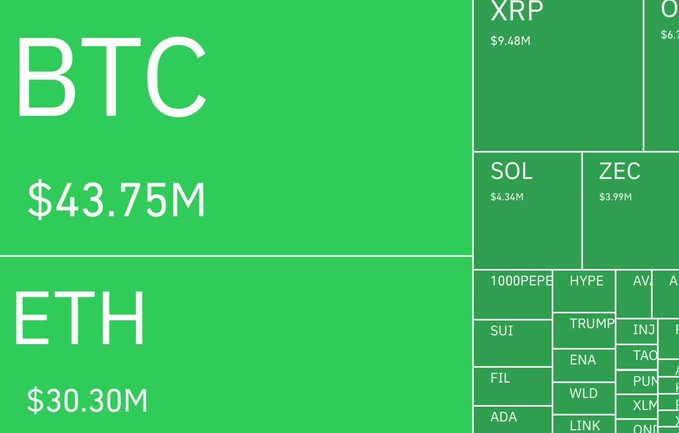 A treemap visualization displays cryptocurrency long position liquidations totaling over $115 million, with Bitcoin (BTC) leading at $43.75M and Ethereum (ETH) following at $30.30M, alongside other major assets including XRP ($9.48M), SOL ($4.34M), and ZEC ($3.99M). The relative size of each rectangle visually represents the scale of liquidations per asset, illustrating the breadth of the market event referenced in the alert.