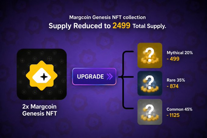The image illustrates the Margcoin Genesis NFT upgrade system, showing that 2x Genesis NFTs can be upgraded into one of three rarity tiers: Mythical (20%, 499 supply), Rare (35%, 874 supply), or Common (45%, 1125 supply), with the header noting the reduced total supply of 2499. This visual accompanies the post's announcement about supply reduction and the upcoming Upgrade Phase, providing a breakdown of the rarity distribution and quantities for the upgraded NFT packs.